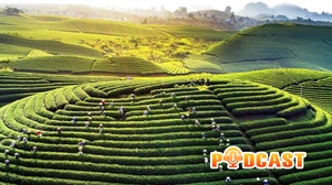 Bản tin Podcast ngày 10/12/2025