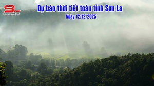 Dự báo thời tiết toàn tỉnh Sơn La ngày 12/12/2025