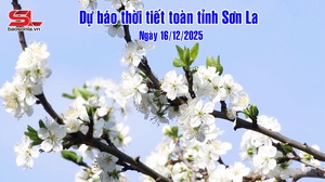 Dự báo thời tiết toàn tỉnh Sơn La ngày 16/12/2025