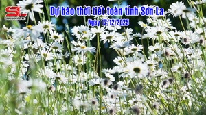 Dự báo thời tiết toàn tỉnh Sơn La ngày 17/12/2025