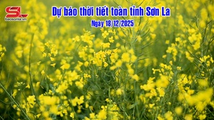 Dự báo thời tiết toàn tỉnh Sơn La ngày 18/12/2025