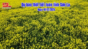Dự báo thời tiết toàn tỉnh Sơn La ngày 19/12/2025