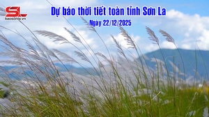 Dự báo thời tiết toàn tỉnh Sơn La ngày 22/12/2025