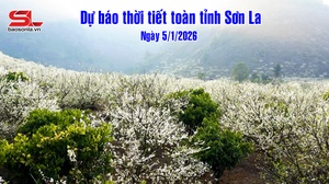 Dự báo thời tiết toàn tỉnh Sơn La ngày 5/1/2026