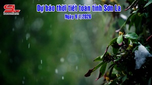 Dự báo thời tiết toàn tỉnh Sơn La ngày 9/1/2026