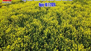 Dự báo thời tiết toàn tỉnh Sơn La ngày 16/1/2026