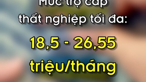 Mức trợ cấp thất nghiệp tối đa mỗi tháng có thể lên tới 26,55 triệu đồng