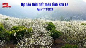 Dự báo thời tiết toàn tỉnh Sơn La ngày 17/3/2026