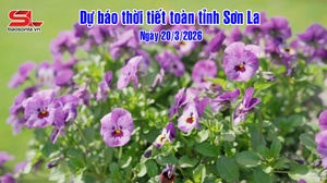 Dự báo thời tiết toàn tỉnh Sơn La ngày 20/03/2026