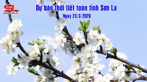 Dự báo thời tiết toàn tỉnh Sơn La ngày 23/03/2026