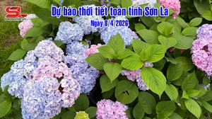 Dự báo thời tiết toàn tỉnh Sơn La ngày 8/4/2026