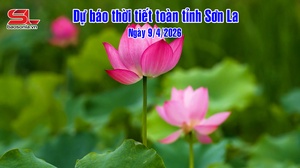 Dự báo thời tiết toàn tỉnh Sơn La ngày 9/04/2026