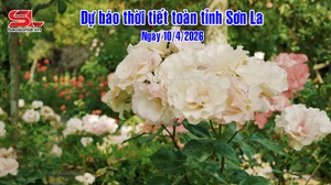Dự báo thời tiết toàn tỉnh Sơn La ngày 10/4/2026