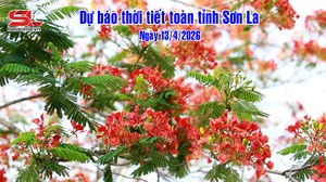 Dự báo thời tiết toàn tỉnh Sơn La ngày 13/04/2026