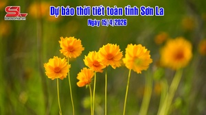 Dự báo thời tiết toàn tỉnh Sơn La ngày 15/4/2026