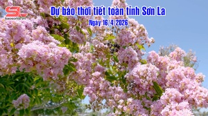 Dự báo thời tiết toàn tỉnh Sơn La ngày 16/4/2026