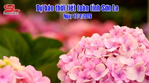 Dự báo thời tiết toàn tỉnh Sơn La ngày 17/4/2026
