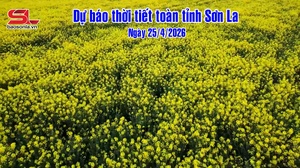 Dự báo thời tiết toàn tỉnh Sơn La ngày 25/4/2026
