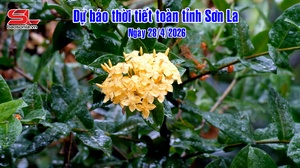 Bản tin dự báo thời tiết toàn tỉnh Sơn La ngày 28/4/2026