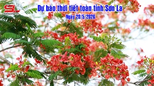 Dự báo thời tiết toàn tỉnh Sơn La ngày 20/5/2026