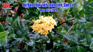 Dự báo thời tiết toàn tỉnh Sơn La ngày 25/5/2026