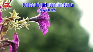 Dự báo thời tiết toàn tỉnh Sơn La ngày 2/6/2026