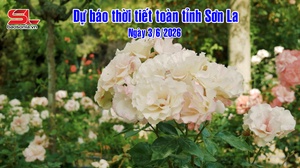 Dự báo thời tiết toàn tỉnh Sơn La ngày 3/6/2026