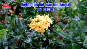 Dự báo thời tiết toàn tỉnh Sơn La ngày 10/6/2026