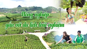 Nông nghiệp gắn với du lịch trải nghiệm