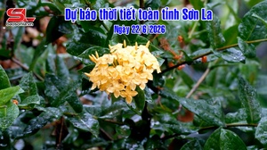 Dự báo thời tiết toàn tỉnh Sơn La ngày 22/6/2026
