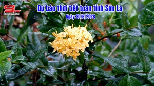 Dự báo thời tiết toàn tỉnh Sơn La ngày 30/06/2026