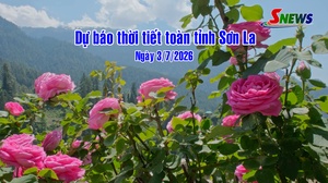 Dự báo thời tiết toàn tỉnh Sơn La ngày 3/7/2026