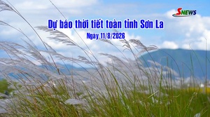 Dự báo thời tiết toàn tỉnh Sơn La ngày 11/8/2026