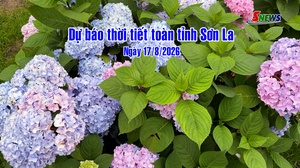 Dự báo thời tiết toàn tỉnh Sơn La ngày 17/8/2026