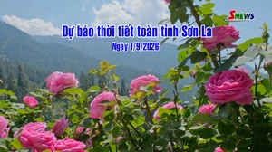 Dự báo thời tiết toàn tỉnh Sơn La ngày 1/9/2026