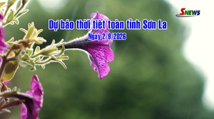 Dự báo thời tiết toàn tỉnh Sơn La ngày 2/9/2026