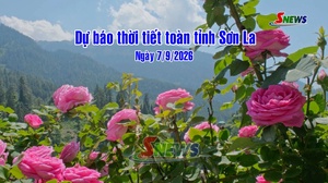 Dự báo thời tiết toàn tỉnh Sơn La ngày 7/9/2026