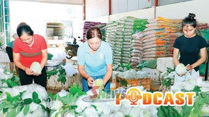 Bản tin Podcast ngày 20/9/2026