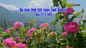Dự báo thời tiết toàn tỉnh Sơn La ngày 22/9/2026