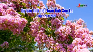 Dự báo thời tiết toàn tỉnh Sơn La ngày 23/09/2026