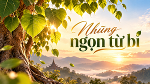 Truyện Podcast: Những ngọn từ bi