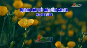 Dự báo thời tiết toàn tỉnh Sơn La ngày 28/9/2026