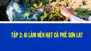 Tập 2: Ai làm nên hạt cà phê Sơn La?
