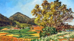 Mộc Châu mùa hoa cải