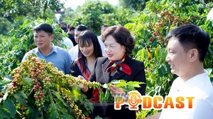 Bản tin Podcast ngày 11/10/2026