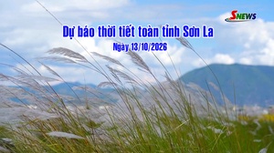 Dự báo thời tiết toàn tỉnh Sơn La ngày 13/10/2026
