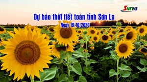 Dự báo thời tiết toàn tỉnh Sơn La ngày 19/10/2026