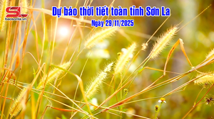 Dự báo thời tiết toàn tỉnh Sơn La ngày 29/11/2025