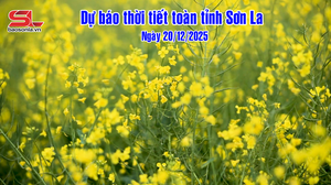 Dự báo thời tiết toàn tỉnh Sơn La đêm 19 và ngày 20/12/2025