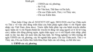 Triển khai các biện pháp ngăn chặn vi rút Nipah xâm nhập vào địa bàn tỉnh Sơn La